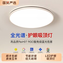 2025 New Model Led Ceiling Light for Room, Bedroom, Living Room, Modern Simple and Elegant Design, Zhongshan Lighting, Eye Protection