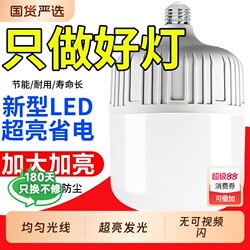 Led Light Bulb for Home Use E27 Screw Base Energy-Saving Lamp Super Bright Indoor Eye-Protection High-Power Lighting Bulb Led Light Switch
