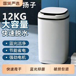 Yangzi Dehydrator Spin Dryer for Home Use, Single Dehydrator Bucket, Small Mini Dormitory Large Capacity for Rental Housing