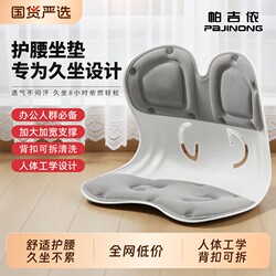 Pajinong Ergonomic Waist Support Chair Cushion for Adults, Office Essential Chair Pad and Backrest