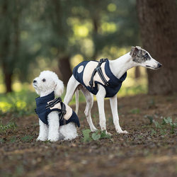 Color-blocked chest and back integrated traction dog cotton clothing for medium and large dogs, windproof, warm and velvet dog clothes and pet clothing