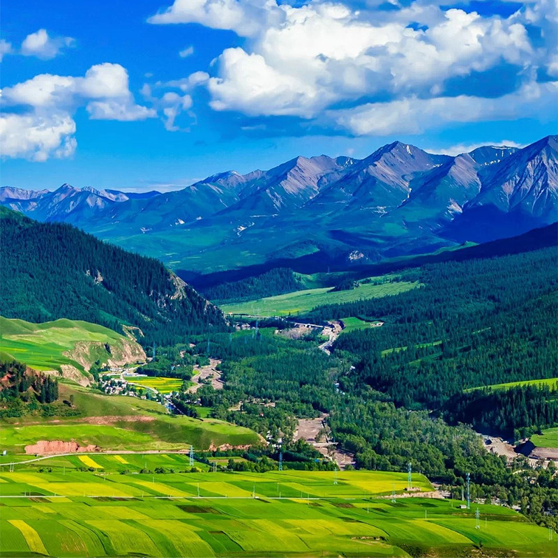 青海旅游拼车3天2晚纯玩跟团游祁连青海湖大冬树山垭口卓尔山小团