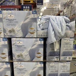 Sam's Club Member's Mark mm Washed Mulberry Silk Summer Quilt 1.5m 200Cm*230Cm