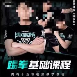 Practical Dodge Training Course Deng Li's Basic Martial Arts Kickboxing Course Kickboxing Air Strike Training Course