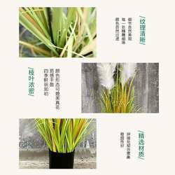 Simulation plant simulation green plants simulation reed onion grass simulation grass factory spot three-headed reed artificial plants