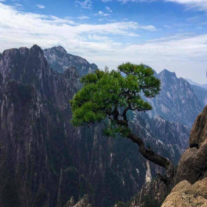 黄山+西递+宏村7日自由行