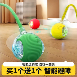 Dog Toy Ball, Self-Entertaining, Boredom-Relief, Automatic Dog Walking Device, Pet Teasing Puppy Jumping Ball, Electric Bite-Resistant Toy
