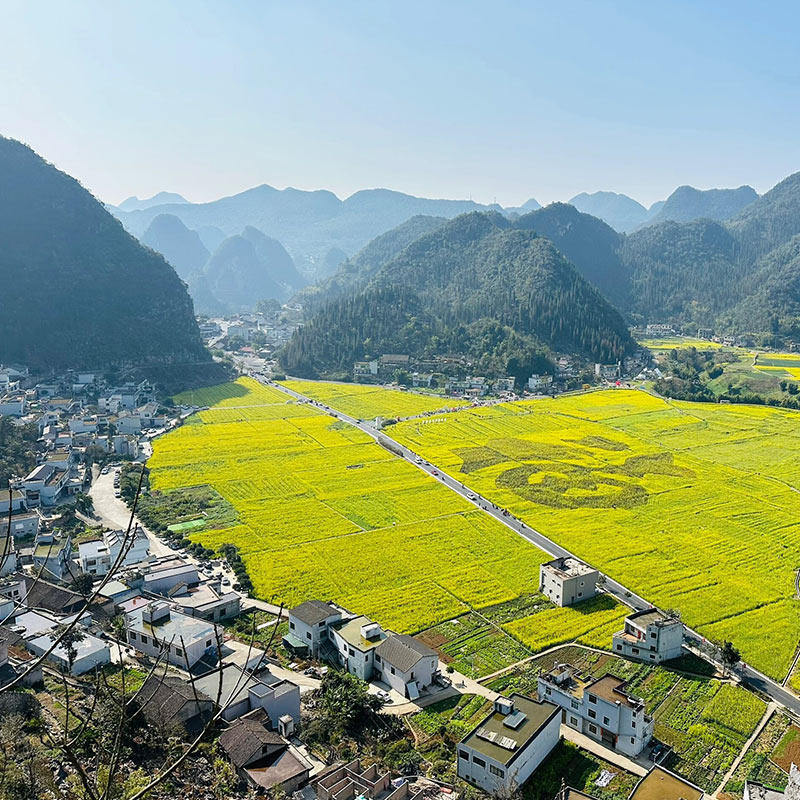 贵阳出发贵州纯玩贵州旅游兴义2天1晚万峰林+马岭河+万峰湖跟团游