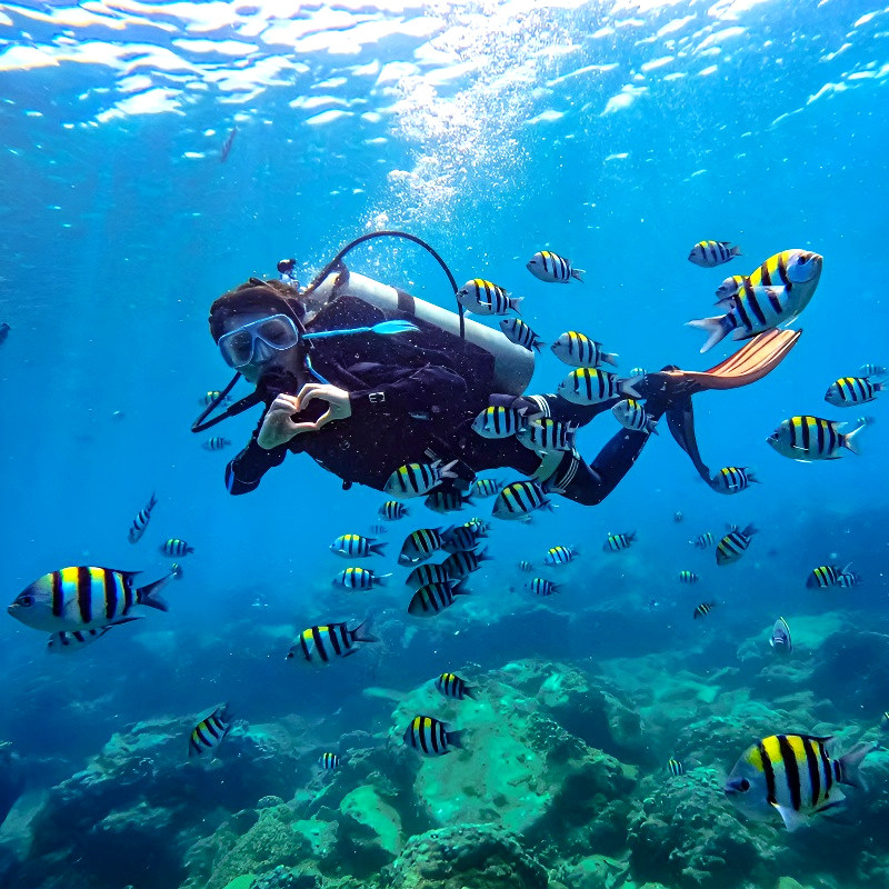 私家团海南三亚旅游纯玩5天4晚蜈支洲岛亚特水世界槟榔谷亲子游