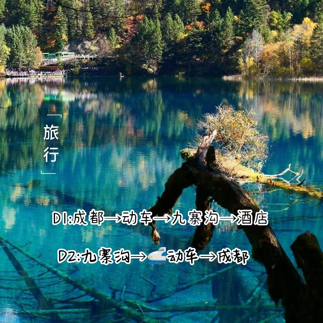四川旅游成都出发九寨沟黄龙动车往返2-8人精品小团包含动车票2日