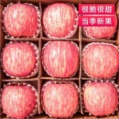 正宗陕西洛川苹果红富士孕妇水果当季新鲜脆甜整箱5斤精品包邮