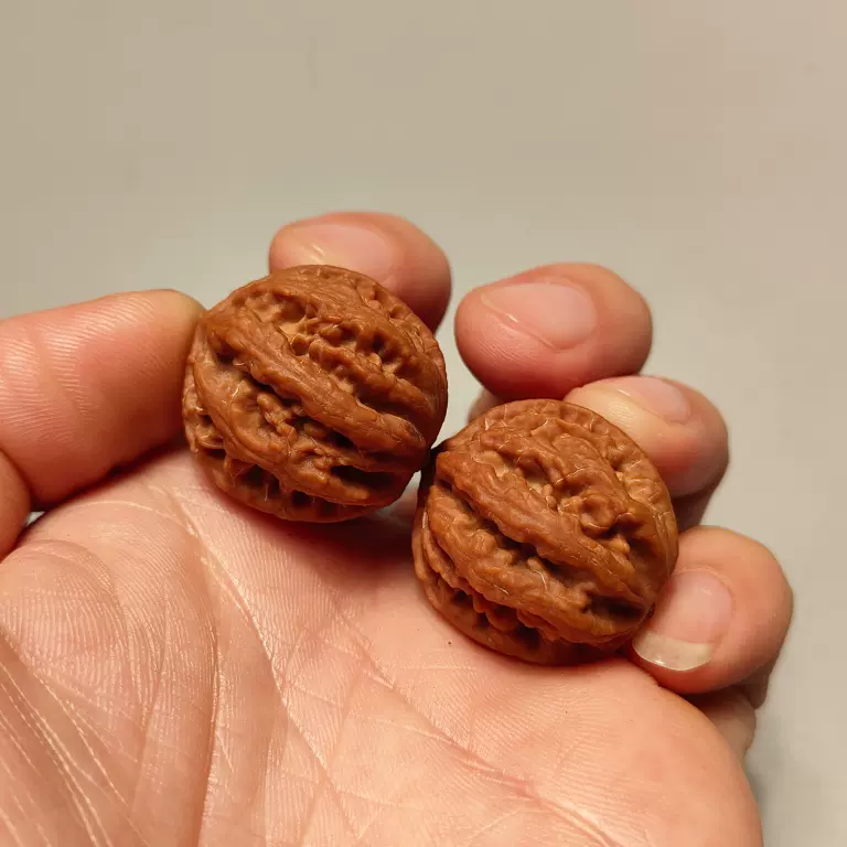 大粗筋狮子头 43尺 大粗筋狮子头 43尺 大粗筋狮子头 43尺 高端老树文