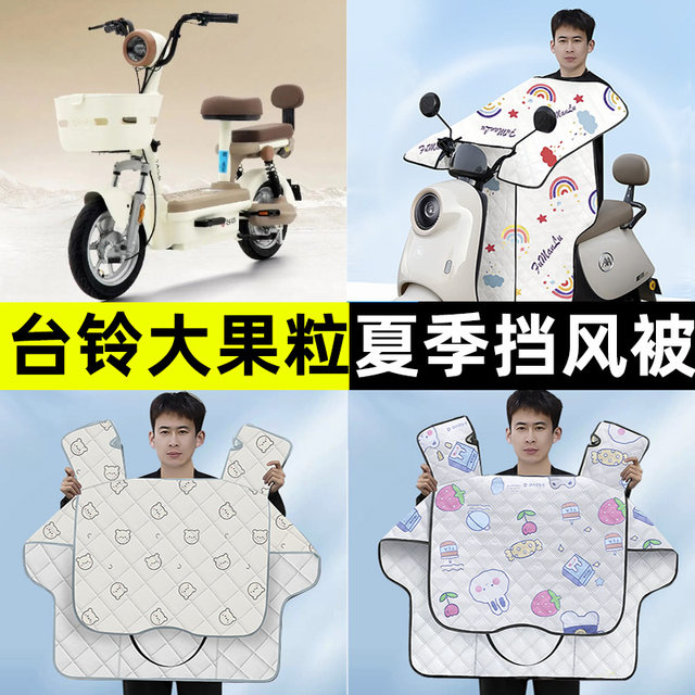 Suitable for Tailing Daguoli Yourun version battery electric vehicle summer model special windshield modified decorative accessories