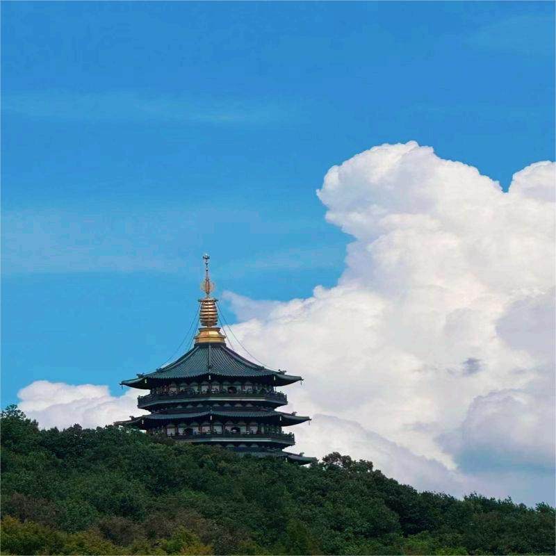 【上海出发】杭州西湖风景名胜区+河坊街+龙井茶园【独立成团】