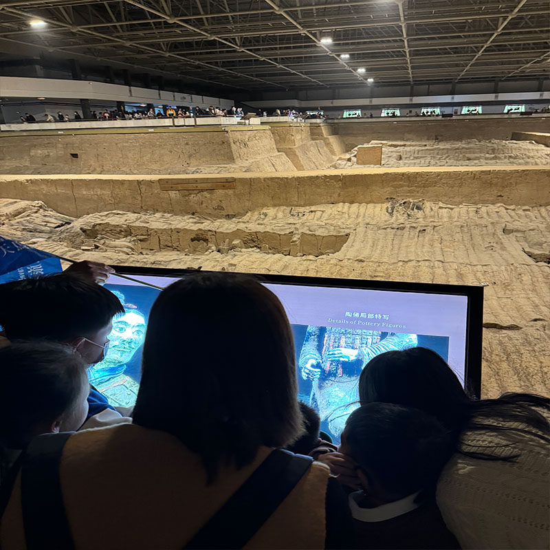 【2-8人私家团】西安兵马俑丽山园纯玩一日游 1家1团含车含导游