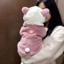 Cat clothes, anti-shedding kittens and kittens clothes, autumn and winter cat clothes, winter clothes, warm little cat pet clothes