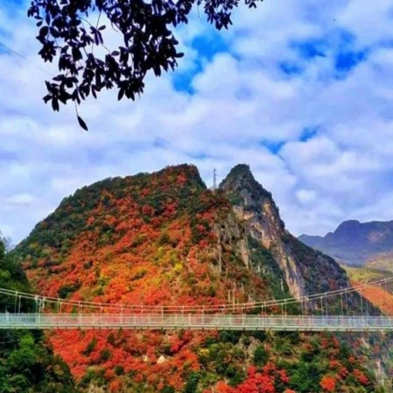 柞水溶洞岭一日游