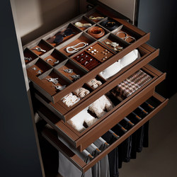 Wardrobe Jewelry Storage Box, Clothing Drawer-Type Pull-Out Basket, Cloakroom Storage Cabinet, Jewelry Pull-Out Multi-Compartment Drawer