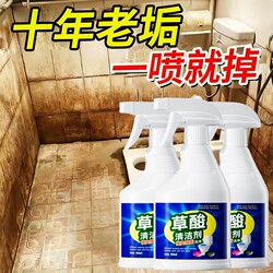 Oxalic Acid Cleaner for Tiles, Powerful Descaling Agent for Toilets, Powerful Stain Remover, De-Yellowing and Descaling Agent for Bathrooms