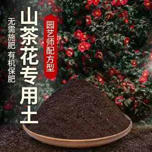山茶花花盆- Top 50件山茶花花盆- 2024年6月更新- Taobao