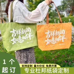 Dupont Paper Bag Custom-Made Single-Shoulder Eco-Friendly Shopping Tote Bag Washable Kraft Paper Advertising Handbag Custom-Made