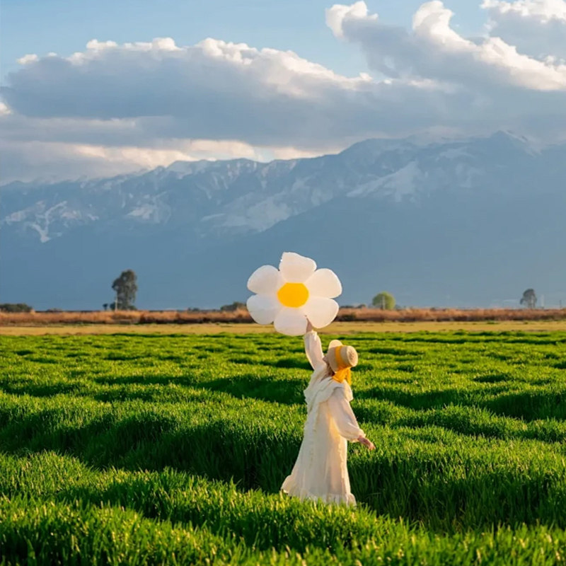 全国出发去到云南旅游10天9晚昆明大理丽江西双版纳玉龙雪山洱海