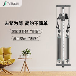 Home Wall-Mounted Double Bird Fitness Equipment, Multi-Functional Comprehensive Strength Training Equipment for Full Body Shaping and Fat Reduction