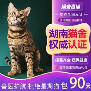 豹猫活体幼猫- Top 100件豹猫活体幼猫- 2024年5月更新- Taobao