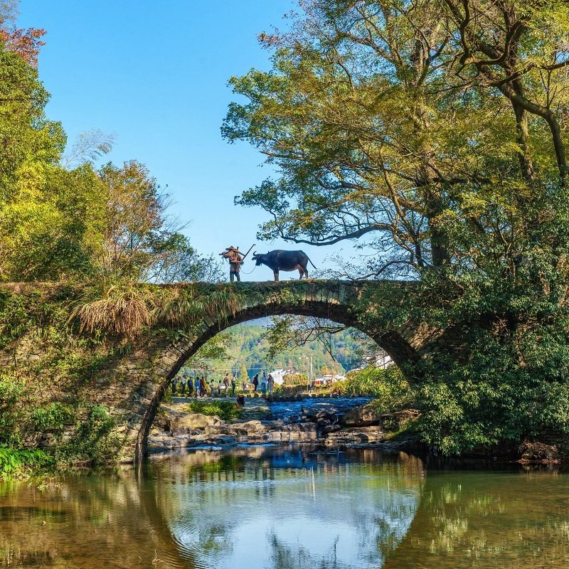 婺源篁岭三清山夜游望仙谷3日游跟团游7人小团含接送