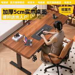 Electric Adjustable Desk, Computer Desk, Desktop Home Desk, Study Desk, Bedroom Gaming Desk, Office Desk, Work Desk