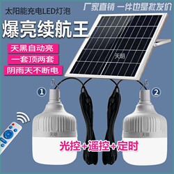 Solar Light Bulb, Super Bright Model, One for Two, for Home Indoor Lighting, Outdoor Waterproof, Automatically Turns on after Dark, Garden Light