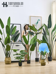 Large Scandinavian artificial plant floor-standing bird of paradise potted fake green plant indoor living room decoration