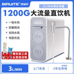 1200G large flow water filter direct drinking water purifier RO reverse osmosis kitchen tap water filtration 3L/min