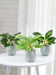 Scandinavian style creative home indoor artificial plant decoration accessories living room flower desktop fake potted plant