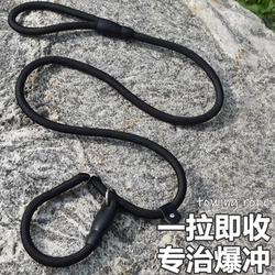 Dog Leash P Rope Dog Walking Chain Small, Medium and Large Dog Training Anti-Shock P Chain All-In-One Pet Supplies