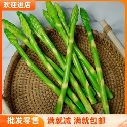 Simulated Asparagus, Bamboo Shoots, Vegetable and Fruit Models, Western Food Props, Home Model Room, Kidsren's Farmhouse Decoration Furnishings