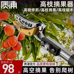 采摘神器菊花- Top 100件采摘神器菊花- 2024年3月更新- Taobao