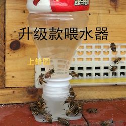 Bee water feeder, automatic feeder, bee drinking water feeder, beehive sugar feeder, beekeeping tools 20 pieces, free shipping