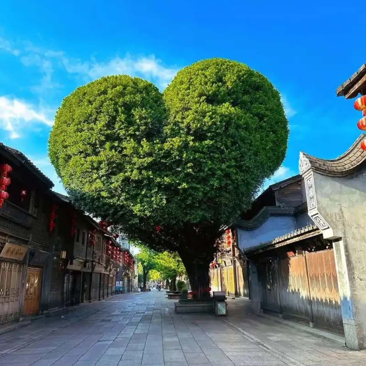 福州平潭3日2晚自由行独立专车烟台山梁厝历史文化街坊七巷4钻