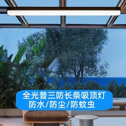 Special Long Strip Lights for Sunrooms, Ceiling Lights, Special Lighting for Balconies, Rain-Proof, Insect-Proof, High-Temperature Resistant Glass Canopy Lights