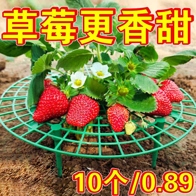 Flower stand planting strawberry tray rack artifact anti-lodging plant fruit support gardening supplies green plant support shelf