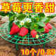 Flower stand planting strawberry tray rack artifact anti-lodging plant fruit support gardening supplies green plant support shelf