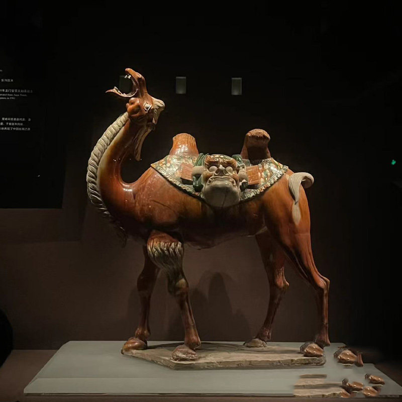 河南洛阳博物馆 含门票/天子驾六馆一日游约深度精品讲解2小时