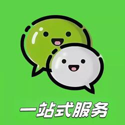 2026 New Wechat Weixin Wx Online Consulting Services for Various Business Issues