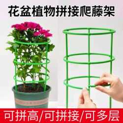 Universal Plant Support Frame, Modular Gardening Stand for Orchids and Lotus Flowers, Telescopic Pole to Prevent Collapse, Climbing Plant Support 2