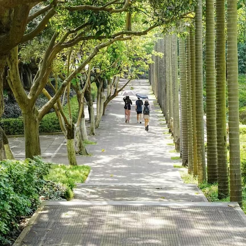 厦门大学一日游【当天可进+纯玩无购物+多套餐可选】