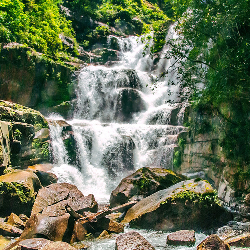 武夷山4日深度旅游下梅/青龙/华东第一漂流/桐木关/1号风景线