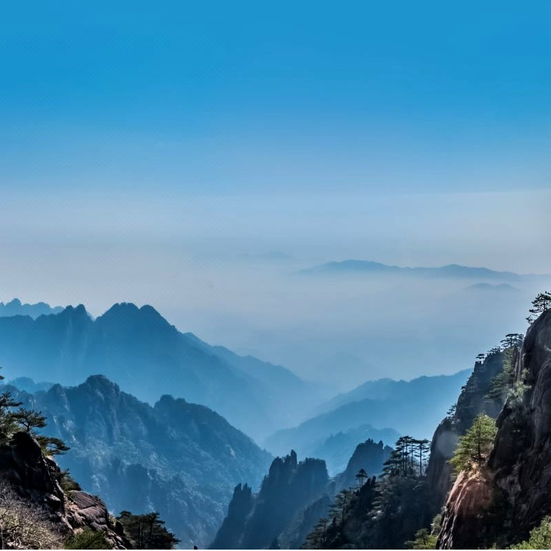 纯玩黄山一日游16人团免排队黄山市区出发各酒店高铁黄山北站接送