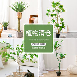Clearance Sale of High-End Luxury Decorative Artificial Green Plants, Large Living Room High-Quality Simulated Indoor Floor-Standing Potted Fake Trees