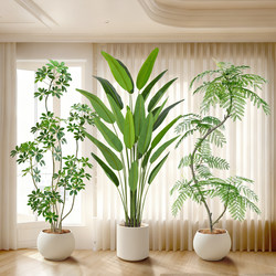 Artificial Green Plant Jacaranda Indoor Light Luxury Decorative Plant Living Room Potted Plant Duckbill Tree Floor-Standing Ornament Artificial Tree